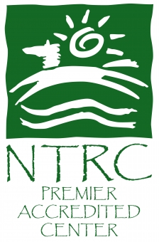 Northland Therapeutic Riding Center Logo